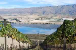 Another stunning April in Central Otago