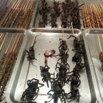 Grilled spiders